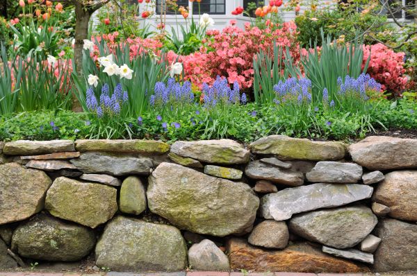 Stone Wall Hardscaping in Champaign