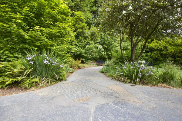 Stone Hardscape Service in Champaign