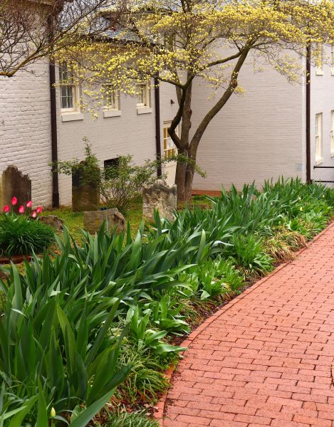 Brick Flatwork Repair in Champaign